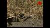Abacha Years 1998 Nigeria S Troops Ambush Rebels In Sierra Leonian CIVIL War