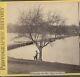 CIVIL War Era Stereoview Of Soldier Watahing Appomattox River, By Brady & Co