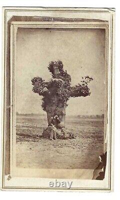 Civil War CDV Tree under Which Capt Smith was Saved by Sacagewia with Soldier