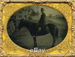 Killer Outdoor ¼ Ambrotype of Civil War Soldier or Horse Jockey on Trusty Steed