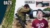 Miracle Near Gaza When Israeli Soldier S Broken Rifle Saves Hundreds Of People