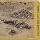 Rebel Soldier Killed in Trenches before Petersburgh Civil War Stereoview 1865